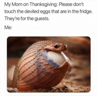 on thanksgiving - Funny LOL Memes